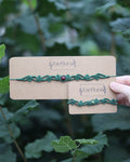 Bundle „Zauberwald“
